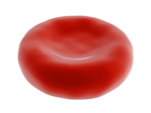 Hematology